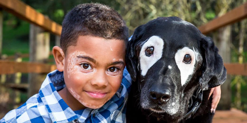 boy and dog became friend