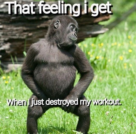 funny gym images