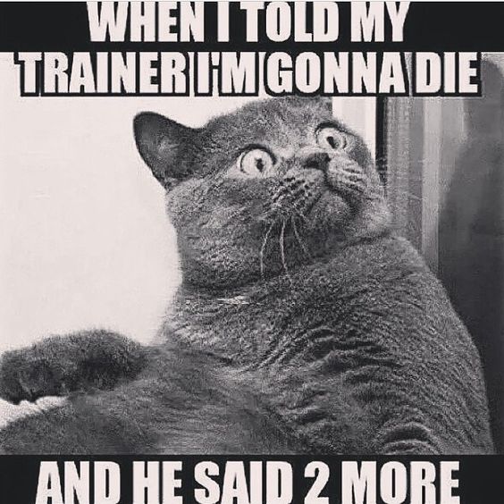 18 Hilarious Gym Workout Images or Quotes Guaranteed to ...