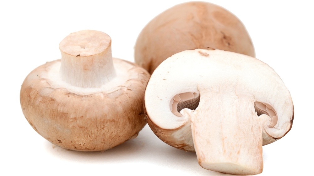 benefits of mushroom for six pack abs
